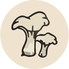 steak