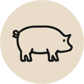 steak